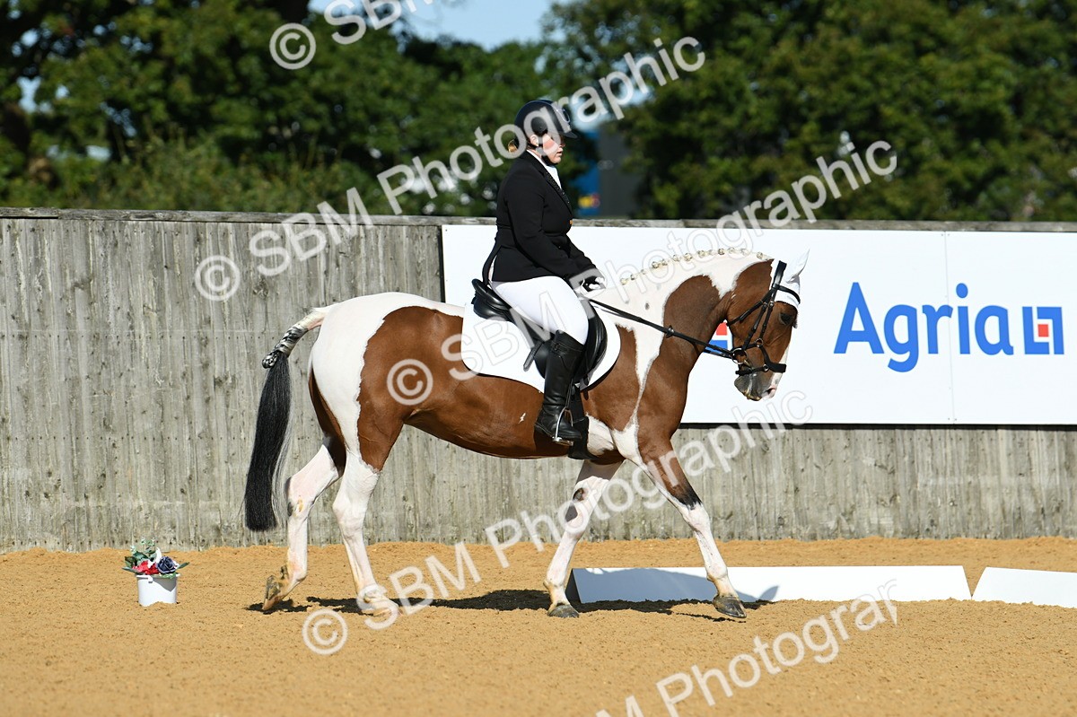 SBM_17922 - D4 - Small Tour Championship - Intro B