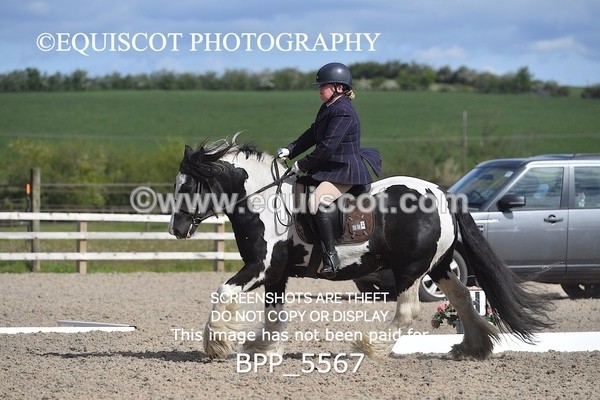 BPP_5567 - 4 L DENHOLM