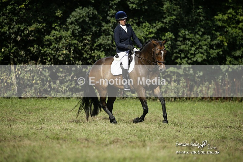 BVRC 120921 222 - Bourne Valley Riding Club UA Dressage & Show Jumping 12/09/21