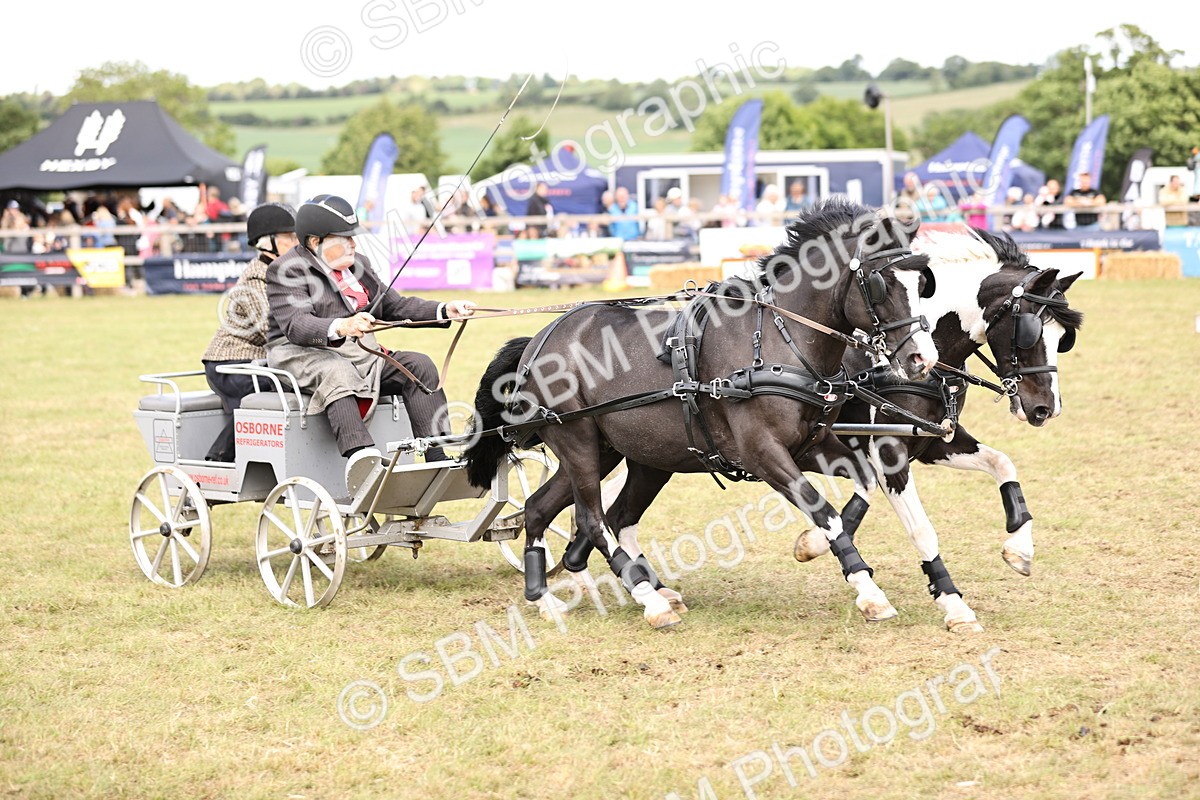 SBM_16089 - Class 91 - Scurry  exceeding 122cms