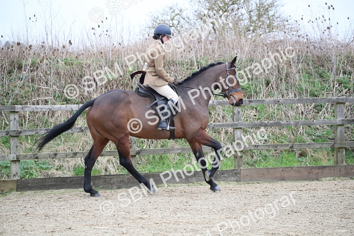 SBM_004739 - Class 5-9 - NPS In Hand-Show Hunter-Intermediate Ridden Inc Ridden Championship