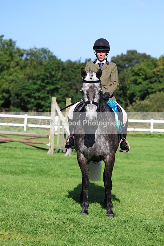 3E7A7703 - Class 1: Novice Working Hunter Pony