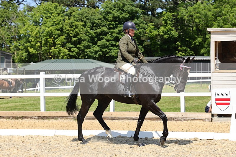 1X9A1795 - Class 12: Ridden Riding Horse/Hack