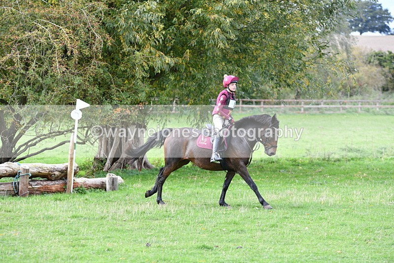 WJ5_0794 - Time 13:59 to 14:28