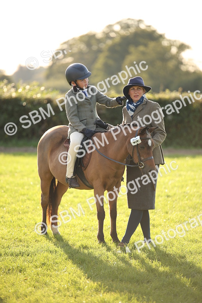 SBM_54441 - S27 - Mature Veteran - Ridden