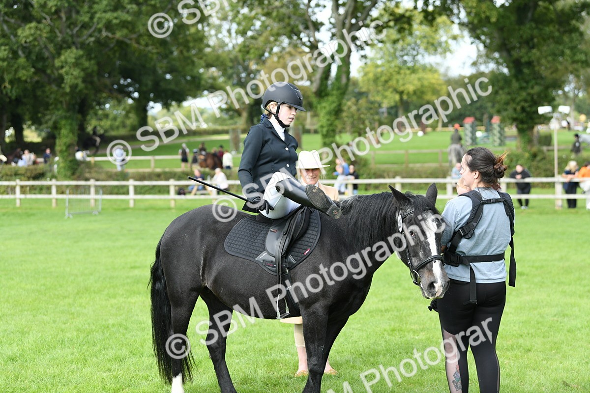 SBM_46834 - S12 - Family Horse & Pony