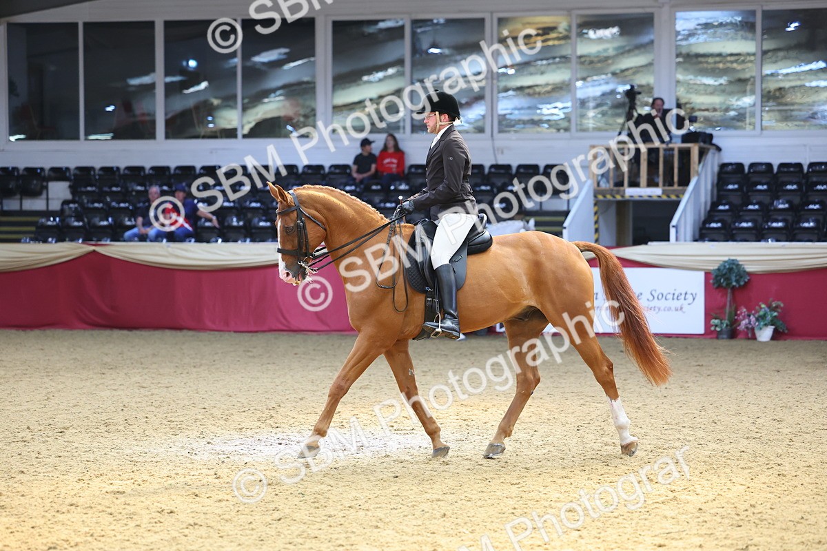 SBM_24092 - Class 905 - Supreme Final - Ridden Veteran