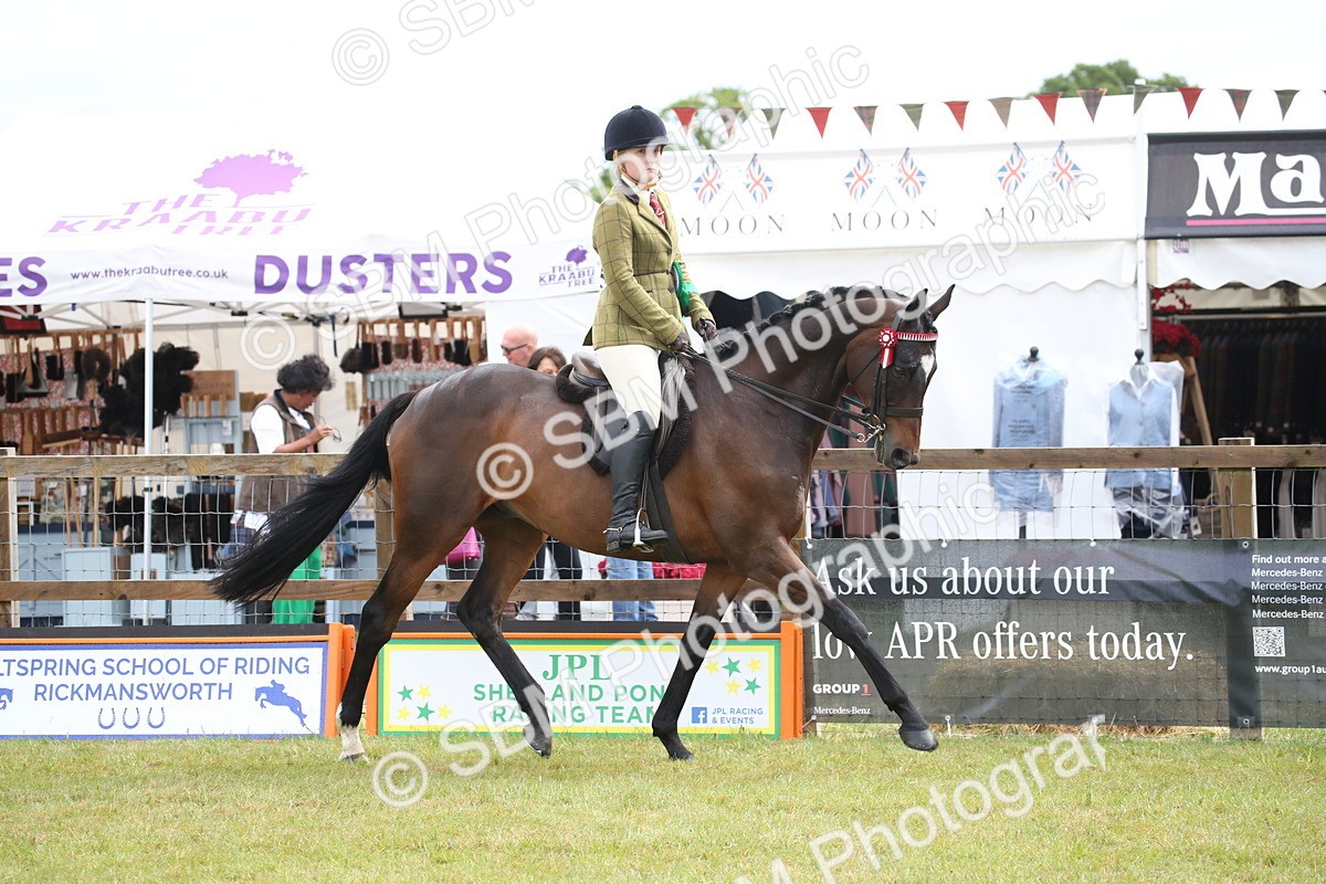 SBM_11488 - Class 94 - LIHS BSHA Racehorse to Showhorse