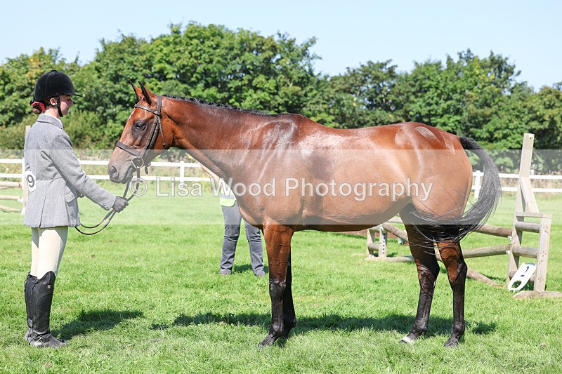 3E7A8498 - Class 4: Novice working Hunter