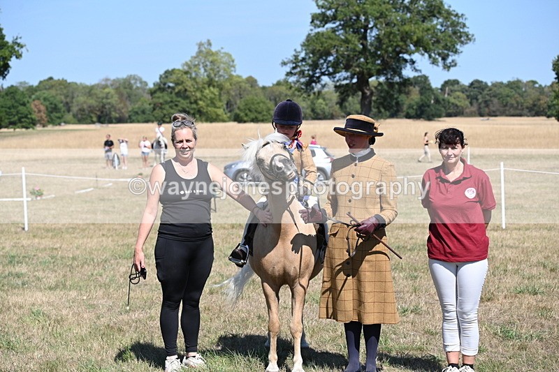 WJ6_8140 - Class 36 Lead Rein