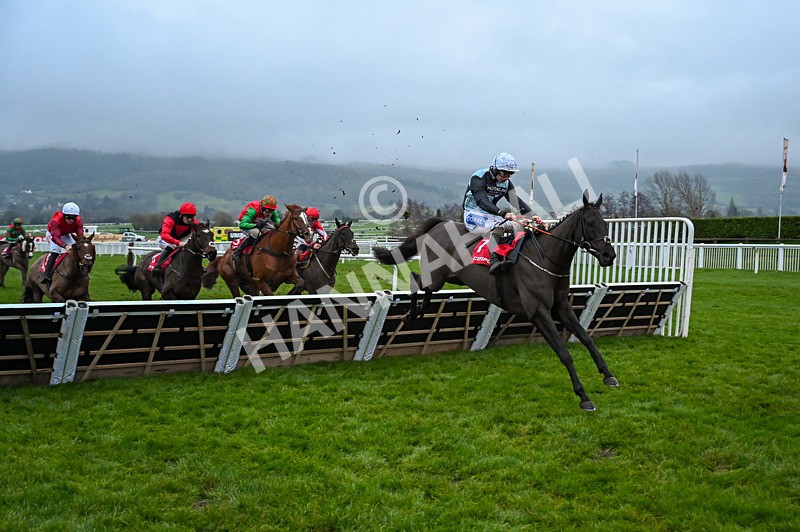 131224-Race 7-Long Draw-0195 - Race 7