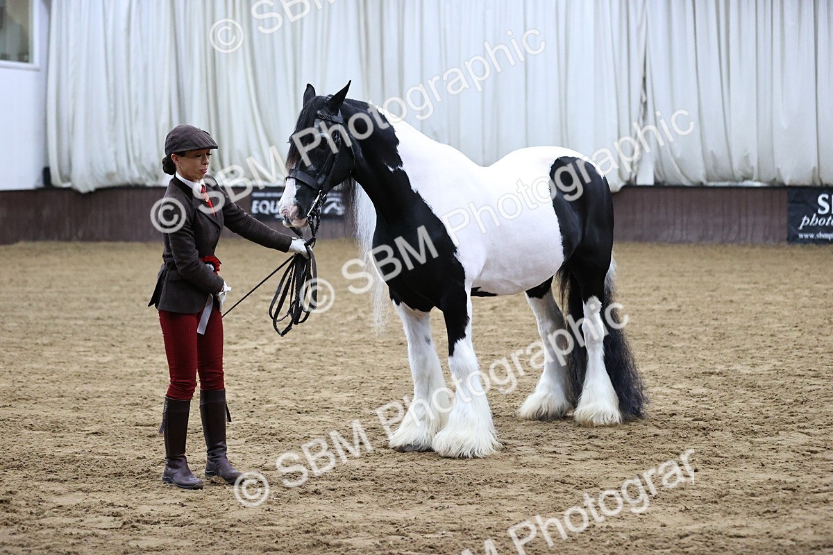 SBM_5682 - Class 40 - RESS In Hand Qualifier