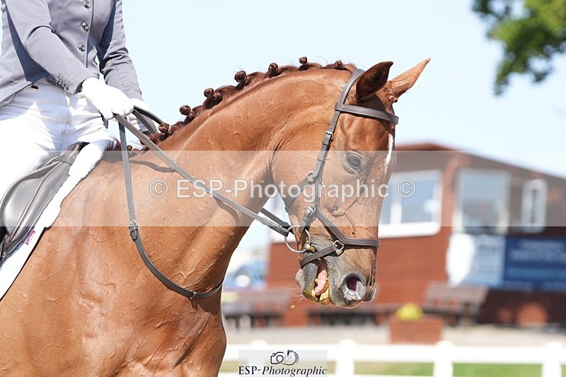 250817-152357-11191 - 203-Anna.JamesVillany