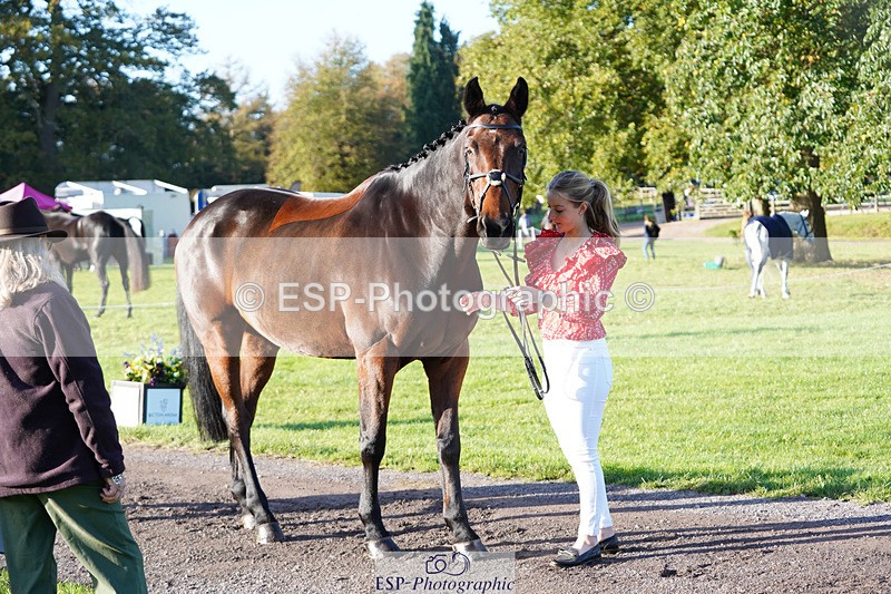 241026-100716-11622 - 018-Alice.Robinson-DERRYS.DIAMOND.CAVALIER