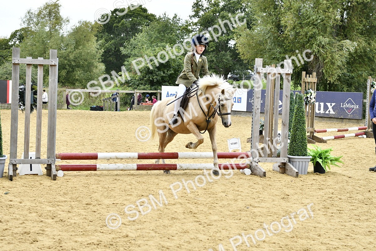 SBM_65393 - J2a mini Tour Junior Pony 30cm Championship