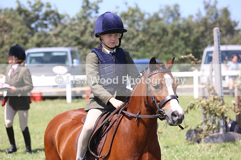 JPP_2258 - Class 20: Tiny Tots Working Hunter Pony