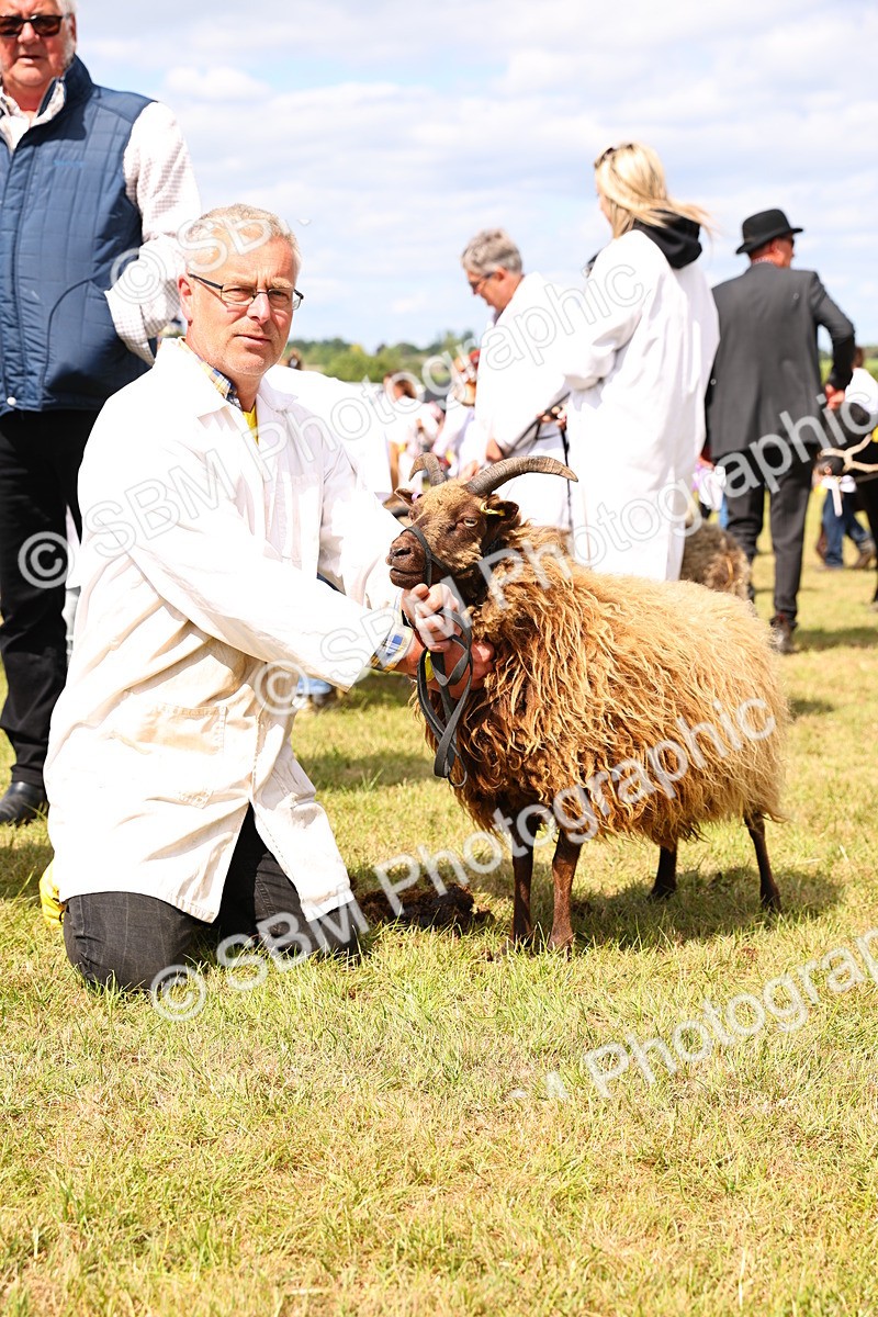 SBM_16978 - Grand Parade
