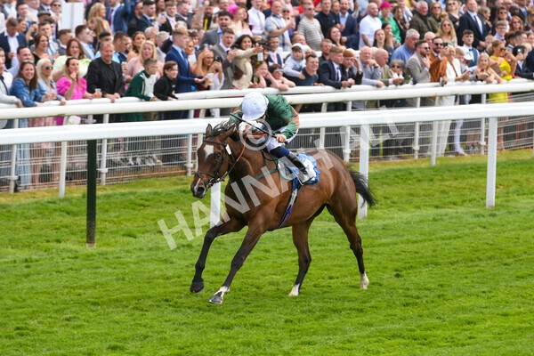 yr21052022r2-29 - Race 2: 2:20pm William Hill Bet Boost Stakes