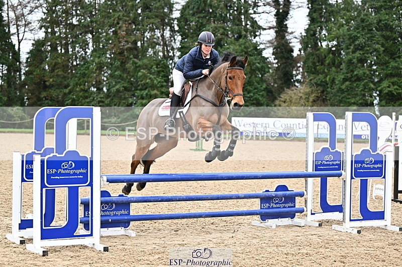 250201A-103601-00267 - Cls 01 Local Horse 90cm