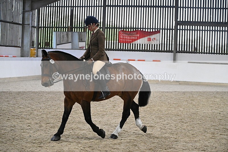 WJ7_3976 - Class 17 Ridden Cob