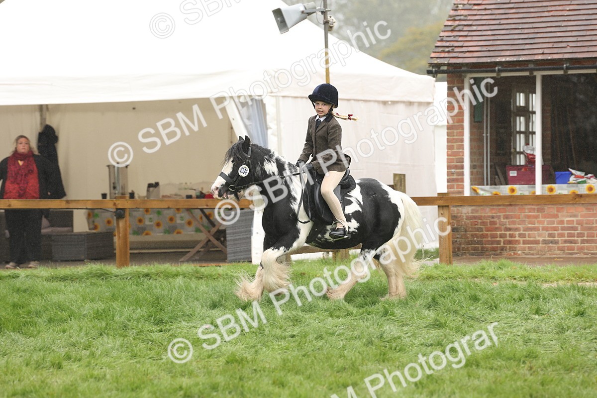 SBM_72822 - S70 - Traditional Cob Ridden