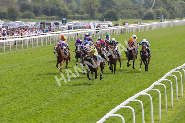 170524-Race 2-Botanical-2144 - Race 2 2.45pm Knights Solicitors Handicap