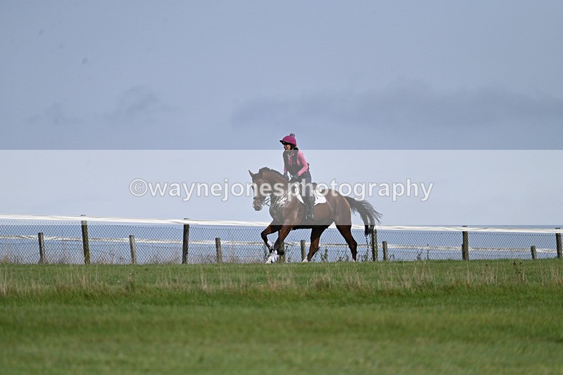 WJ7_7513 - Time 13:21 to 13:29