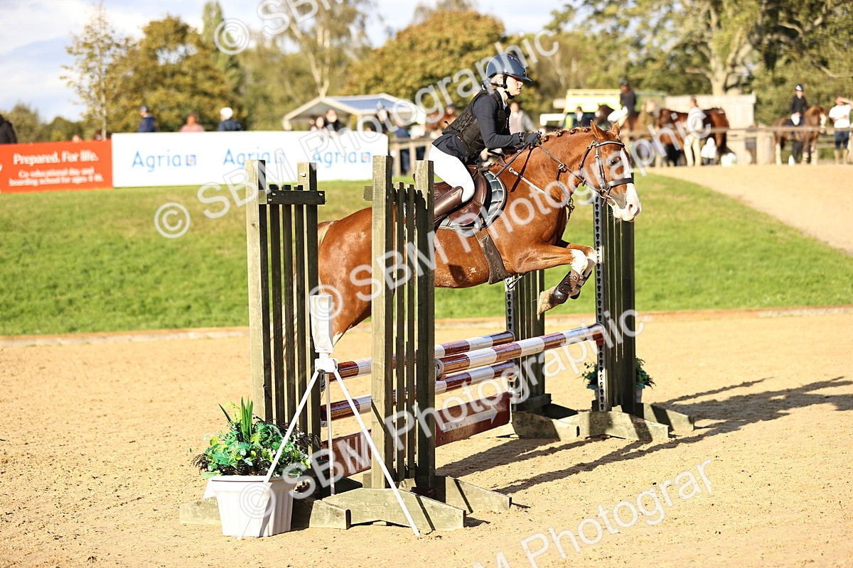 SBM_51917 - J10 - Junior Pony 75cm Championship