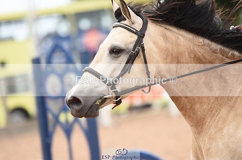 230711A-161136-00186 - 60cm