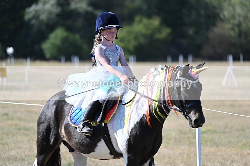 WJ7_2512 - Class 45 Fancy Dress (My Fav)