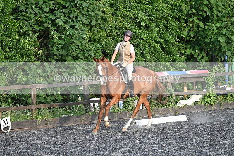 WJ7_0390 - Time 19:38 to 20:00