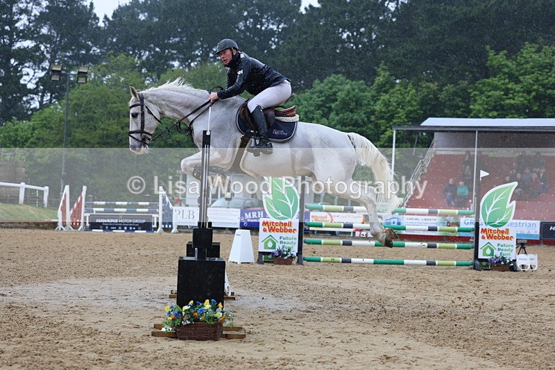 3E7A7332 - Class 8: Senior Foxhunter/1.20 open