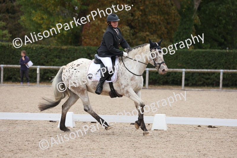 20250820-0293 - Class 9 - My Quest Prelim 3