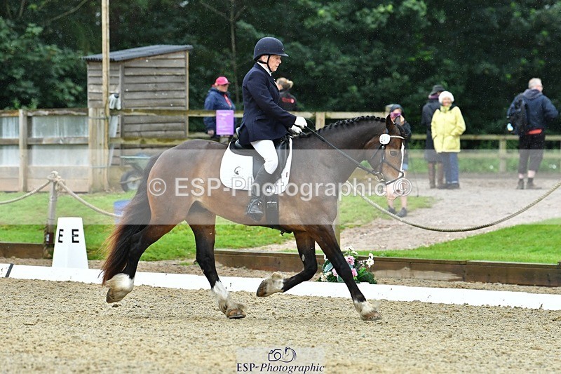 230722-162751-03959 - Cls 5, Elementary Silver 15.10 to End