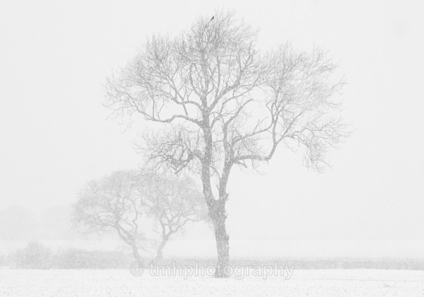 Winters Icy Vail - Yorkshire Countryside