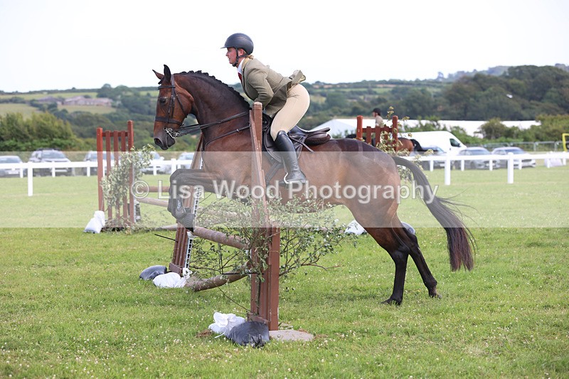 JPP_3780 - Class 23: Working Hunter 80cm
