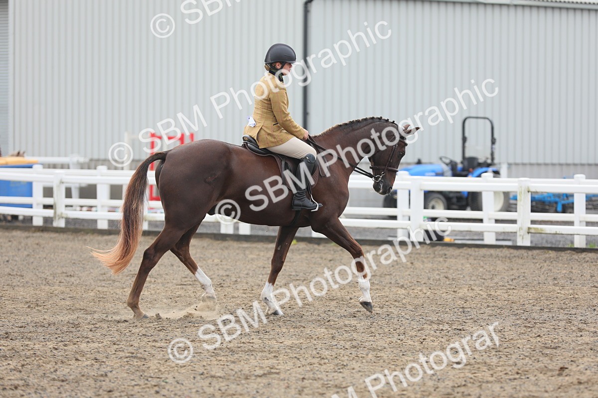 SBM_21345 - Class 805 - Ridden Veteran Horse