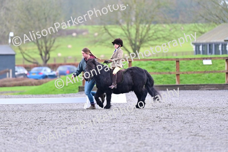 20260125-0989 - Class 9a - Walk Trot Assisted