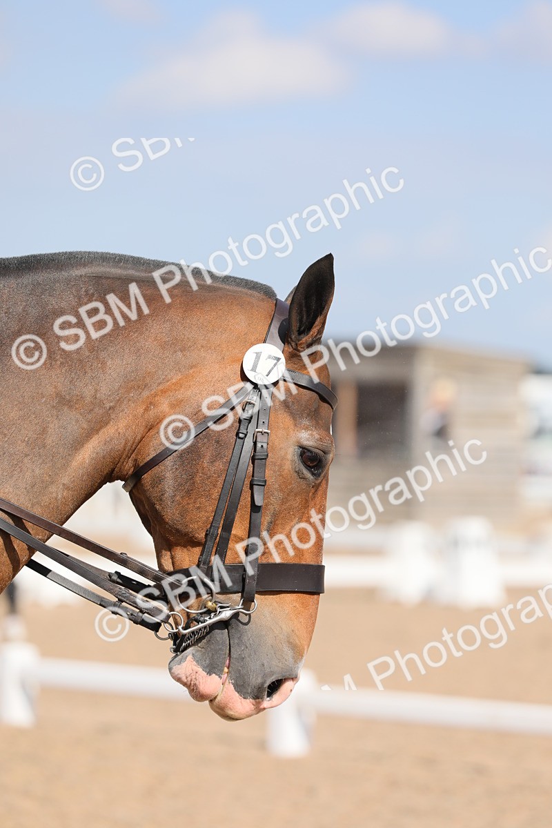 SBM_07646 - Class 33 Elementary 1