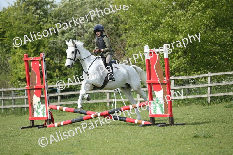 20260426-1524 - Class 14 - Novice 60cm