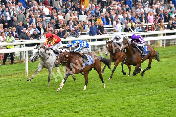 180523-Race 4-The Foxes-9707 - Race 4 3.35pm Al Basti Equiworld Dubai Dante Stakes