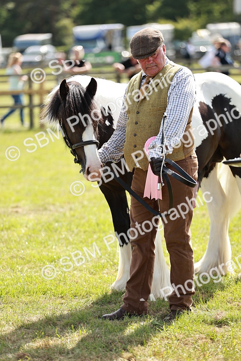 SBM_08728 - Class 63-65 - Traditional Gypsy Cobs In Hand & Ridden