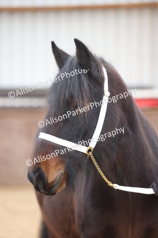 20251109-0948 - Class 26 - 2 and 4 Year Olds