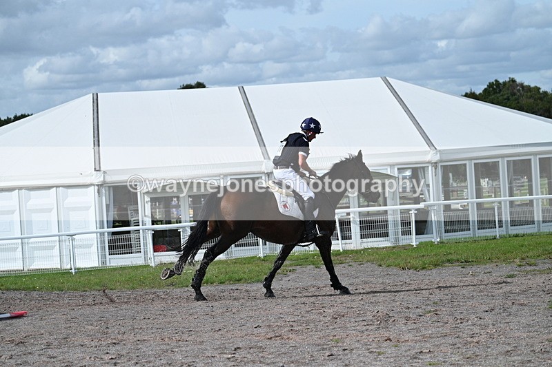 WJ7_2319 - Time 13:17 to 13:53