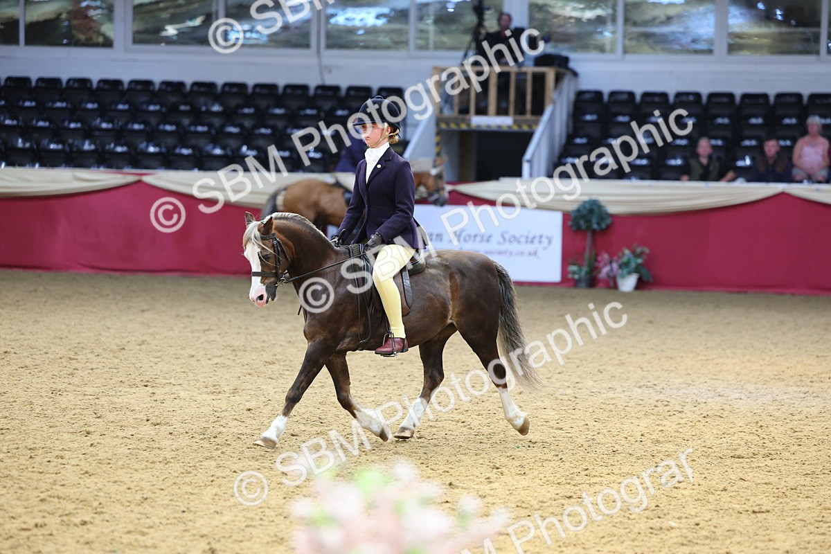 SBM_23522 - Class 904 - Supreme Final Ridden Diamond