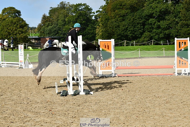 251004A-121739-00977 - Classes 4 & 5 50cm