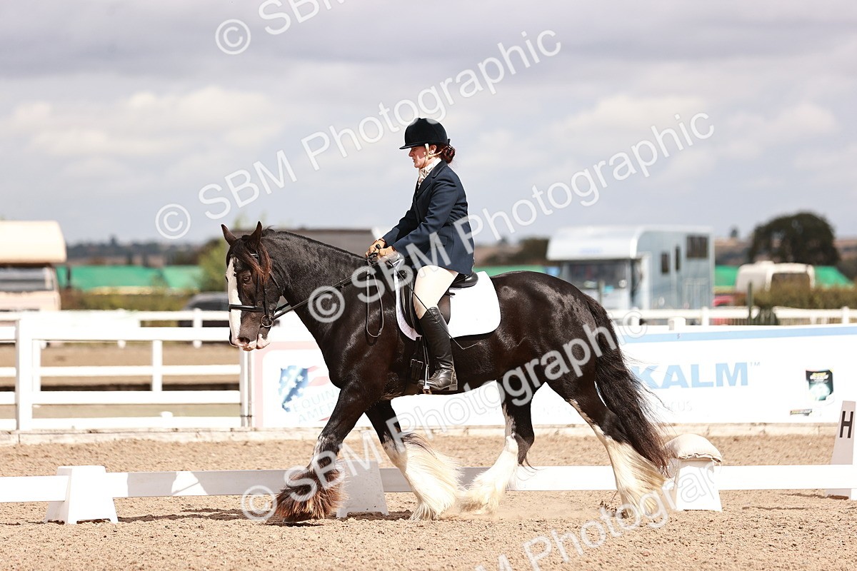 SBM_06196 - Class 37 - Novice 5