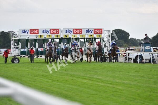 yr23072022r5-18 - Race 5 4.25pm Sky Bet UK's No1 Betting App Stakes