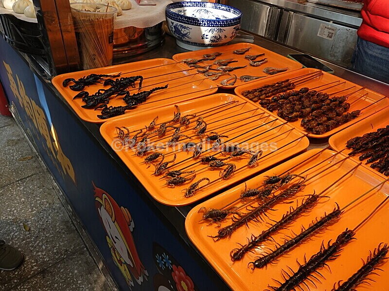 CHINA__1278 - China 2019