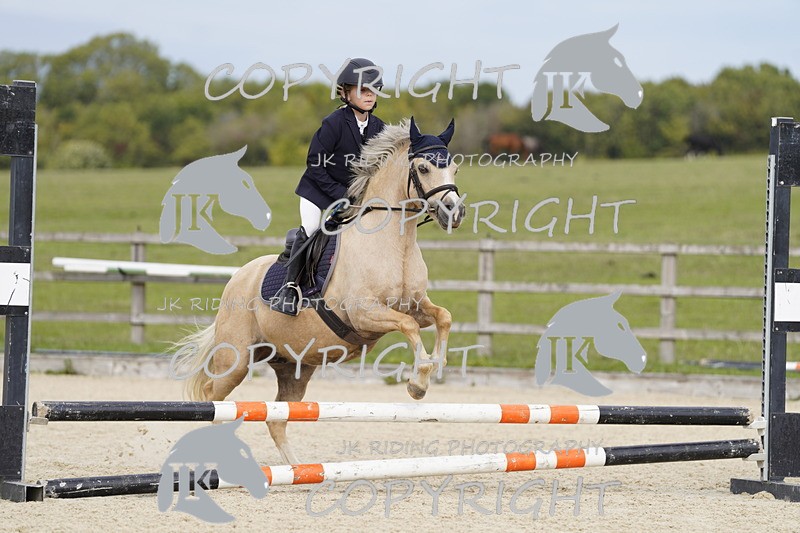 _DSC0079 - Mini Pairs